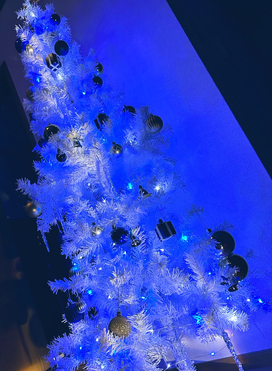 OXoxo1106's tweet photo. クリスマスツリー完成！ https://t.co/0QGouHx8ju