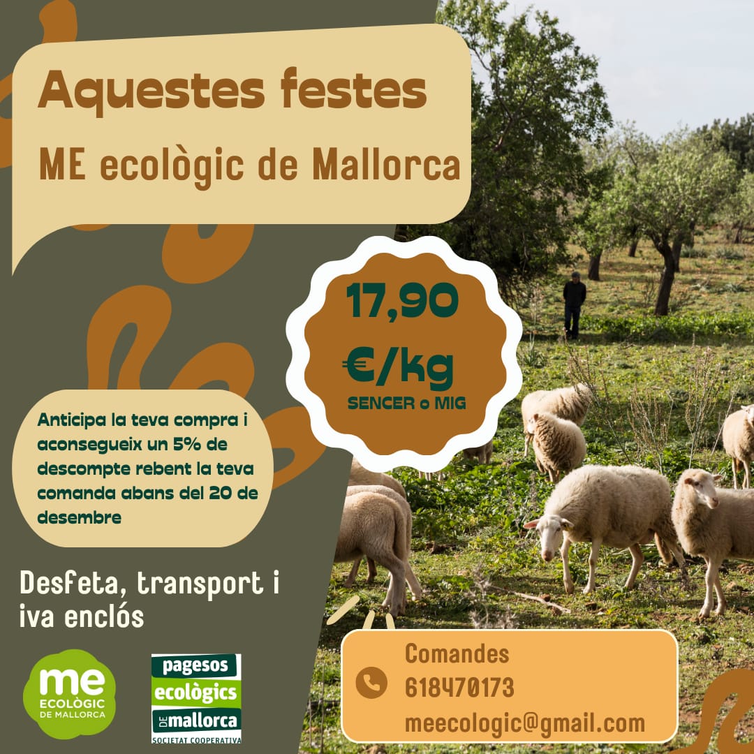 A Mallorca les ovelles encara tresquen a lloure tot l'any i tenen una alimentació natural i variada. Els pagesos mantenen paisatge i natura perquè així sigui. No és així a tot el món. Que els paisatges més bells resisteixin depèn de la continuïtat de les guardes. Ja ho sabeu.