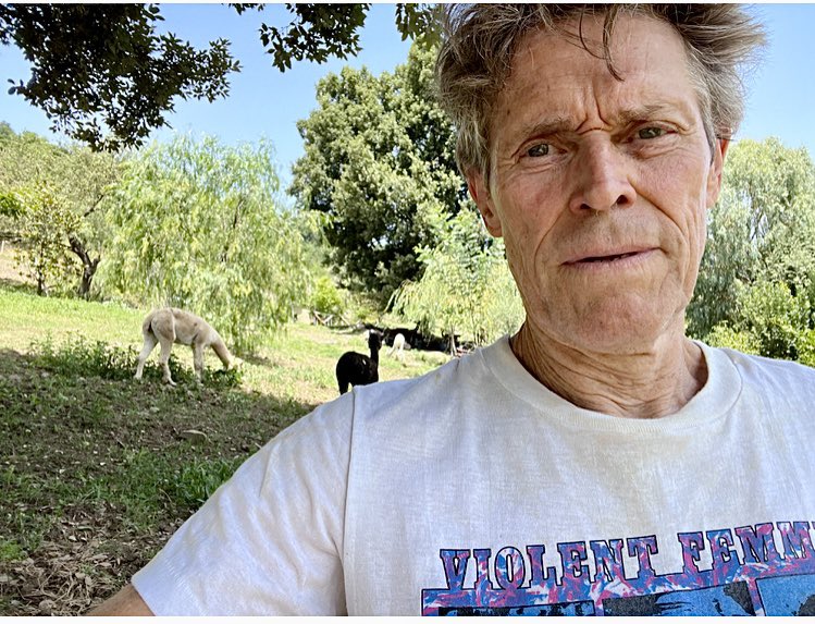 VicDeLorenzo's tweet photo. My friend Willem wearing a t-shirt of the Fems that I gave him to wear around the farm…👏🏻❤️ https://t.co/sPI1GOuGGe