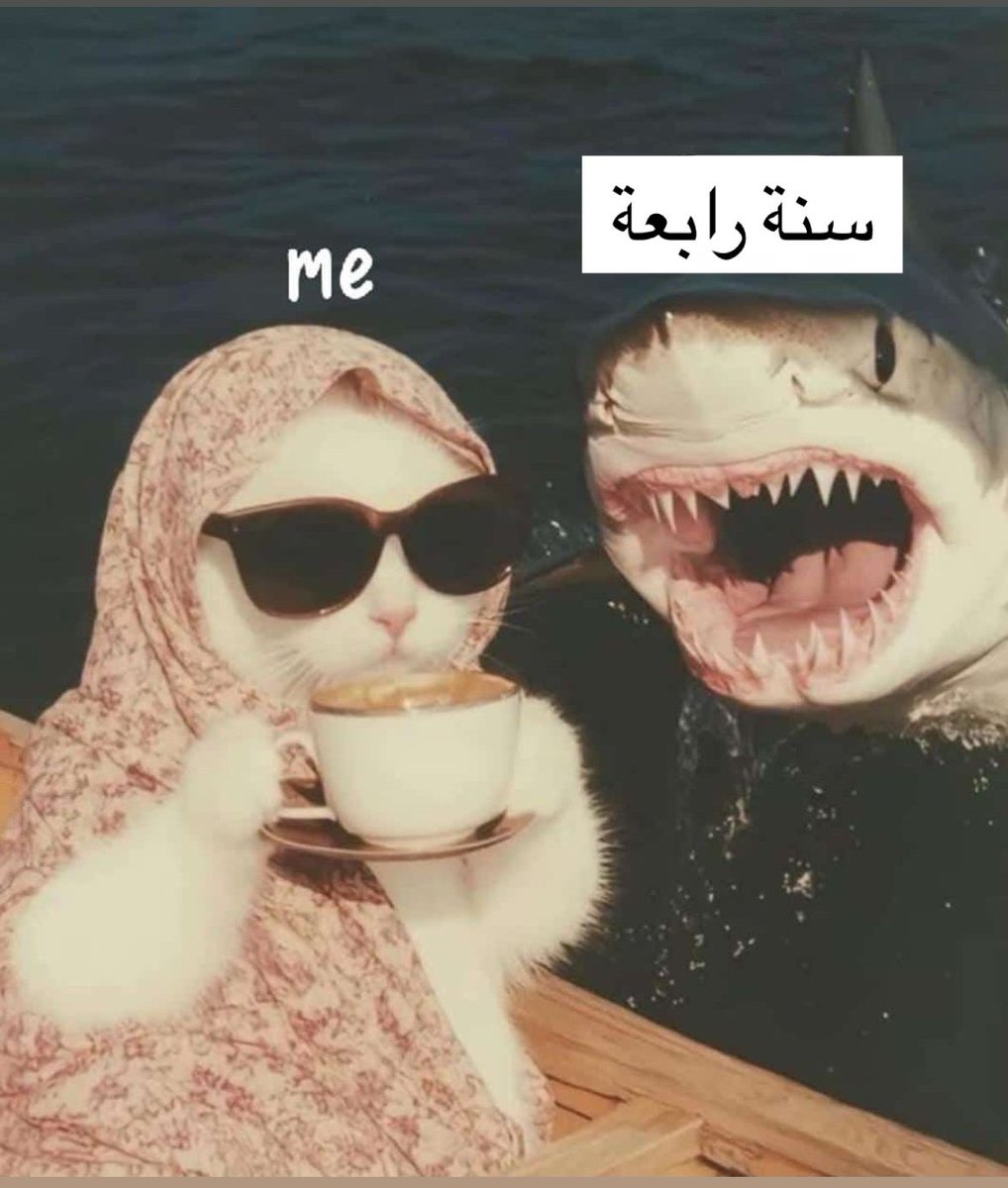 NoorHesham215's tweet image. 