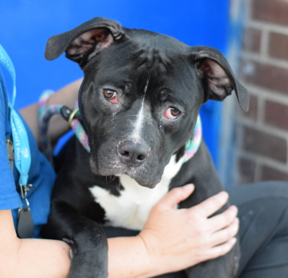 Have you shared Titan today? 
One person, one home = a great life 
Pls🙏
#NYCACC