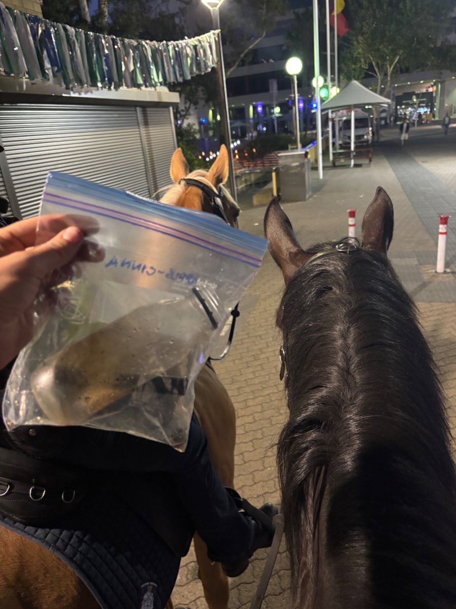WA Police Force Mounted tweet media