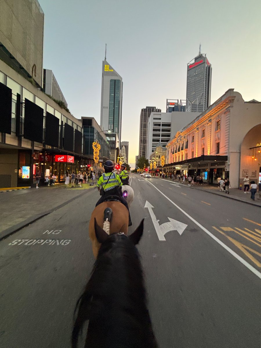 WA Police Force Mounted tweet media