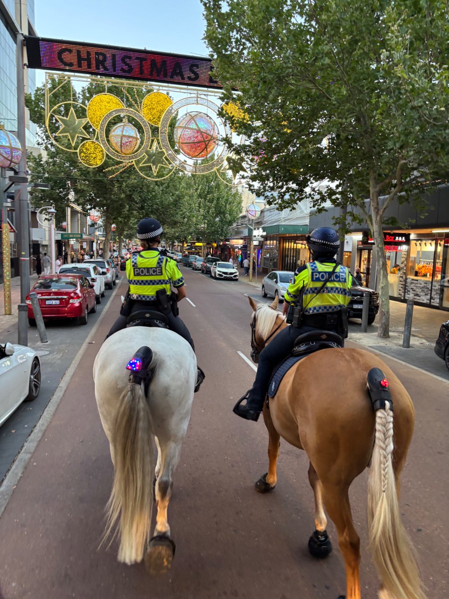 WA Police Force Mounted tweet media