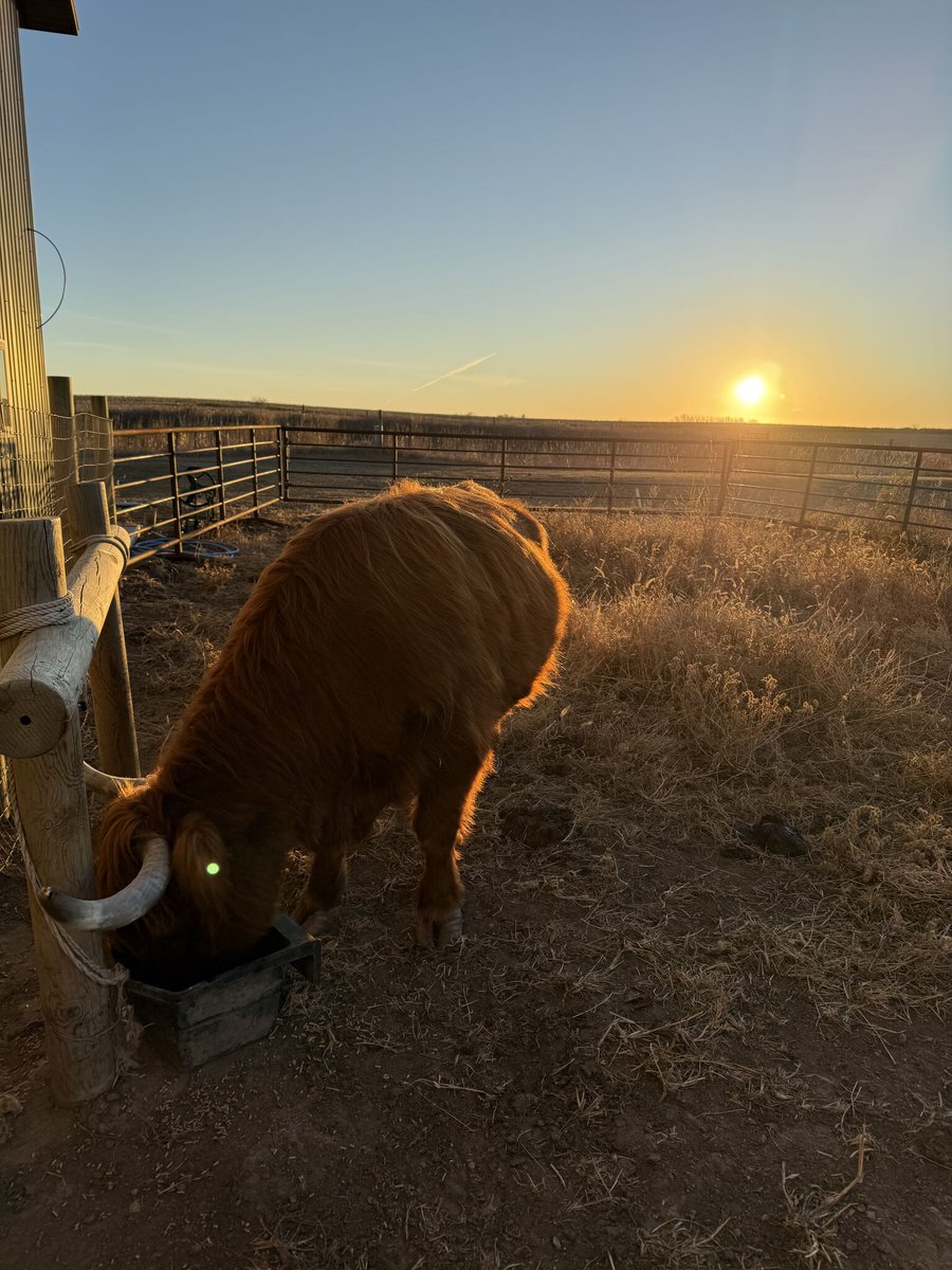 Farm Country Trader tweet media