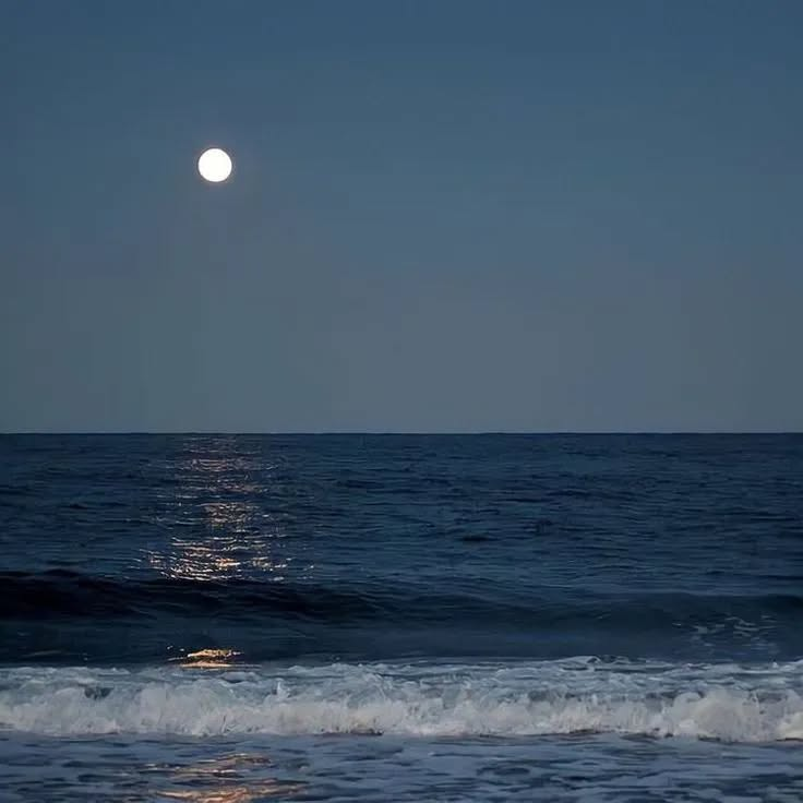 as free as the birds