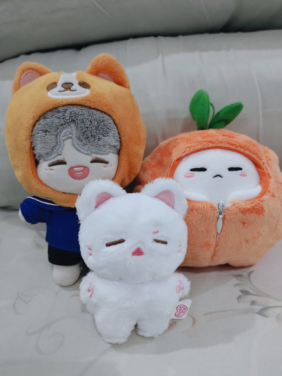 Haegeu_'s tweet photo. Thank you  @needmerch_GO 
🍊🧡 https://t.co/OVBEMRkBFI