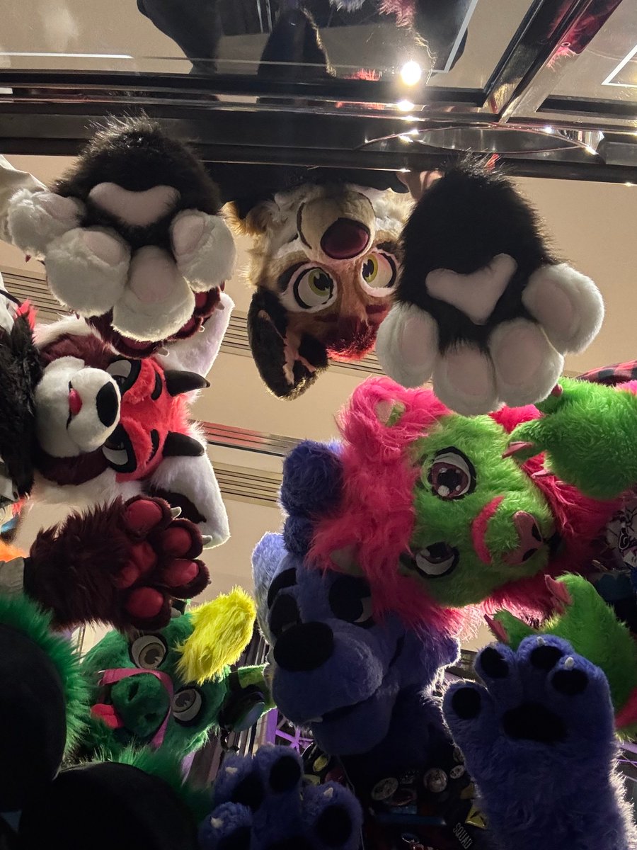 Fluffy Grape (Furo) π π Fauntastic (@furofur) on Twitter photo Hey down there π
(with <a href="/ThatFrenchPanda/">Fluffy Tail</a>, <a href="/NoxTheF0x/">Nox</a>, <a href="/Lino_draw/">Lino the goofy lion ART FIGHT !!</a>, and awaminatoru)
π·: <a href="/Zach_the_Proot/">Zach / Dango !</a> Hey down there π
(with <a href="/ThatFrenchPanda/">Fluffy Tail</a>, <a href="/NoxTheF0x/">Nox</a>, <a href="/Lino_draw/">Lino the goofy lion ART FIGHT !!</a>, and awaminatoru)
π·: <a href="/Zach_the_Proot/">Zach / Dango !</a>