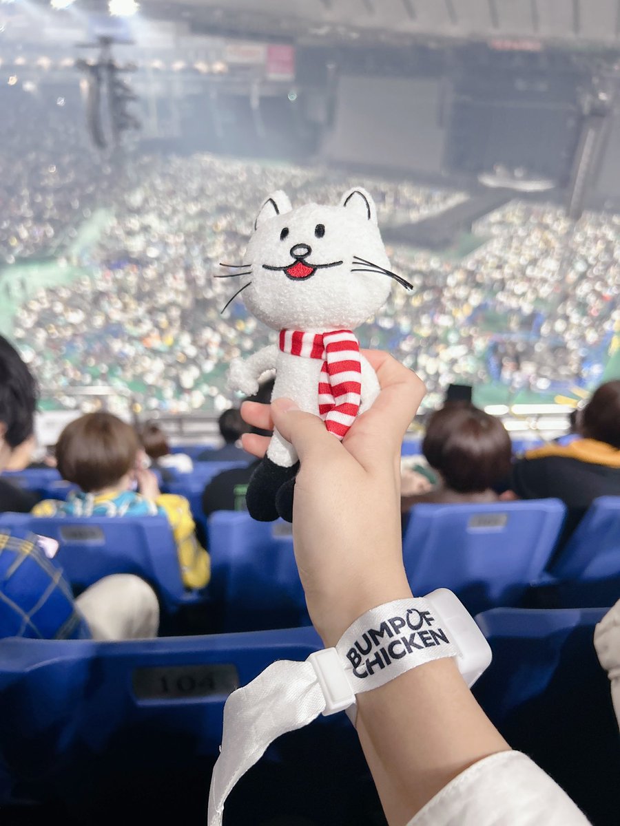 boc_ox's tweet photo. 神バンド😭😭😭😭😭 https://t.co/oQAWyzqWA4