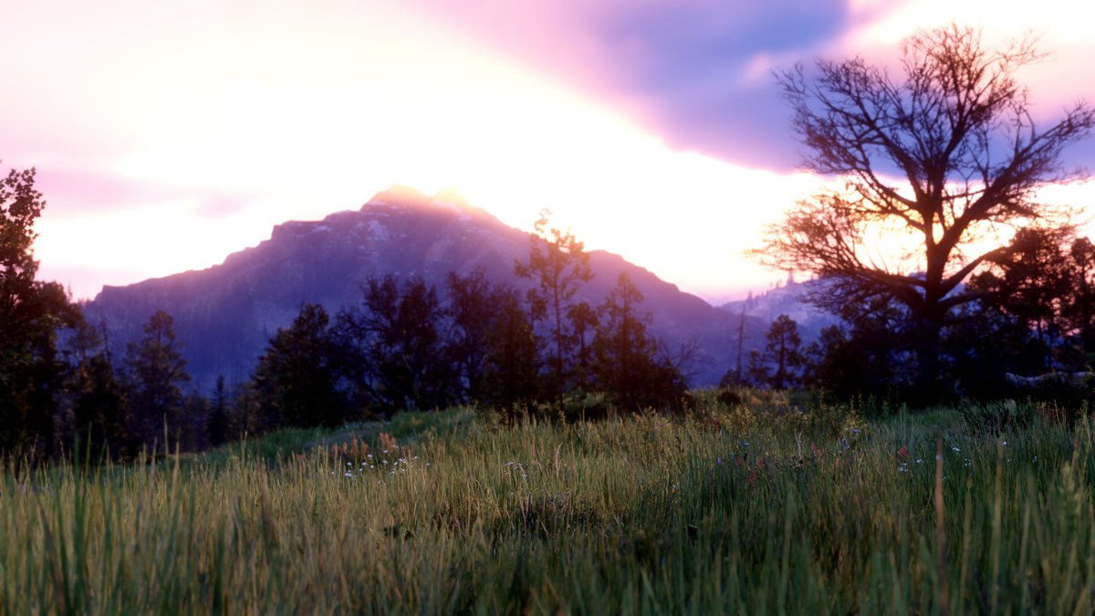csonoel's tweet photo. GUYS THIS IS RED DEAD REDEMPTION 2

I MADE THIS PICTURE IN RED DEAD REDEMPTION

DO YOU UNDERSTAND HOW CRAZY THAT IS???
MY GRAPHICS ARENT EVEN ON MAX

YOU DONT BELIEVE ME? CHECK THE SECOND IMAGE.
THE 2ND PIC IS NOT SENSITIVE ITS JUST FOR DRAMATIC EFFECT https://t.co/B4gp9aahqo