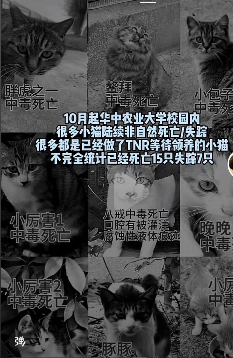 李老师不是你老师 tweet media