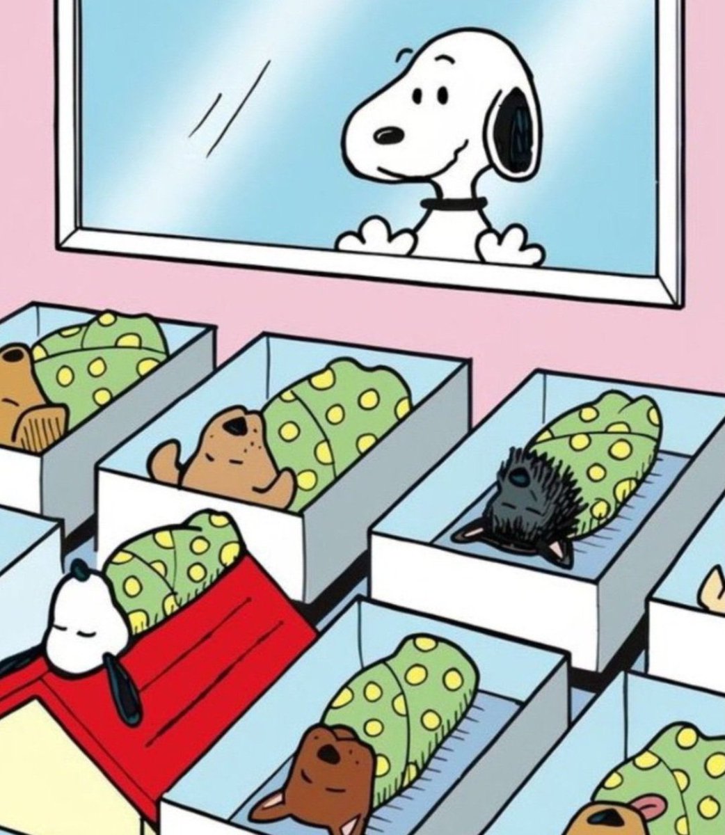 this really is jungwoo watching over jungwon, sungchan, eunseok, yushi, sion &amp; more