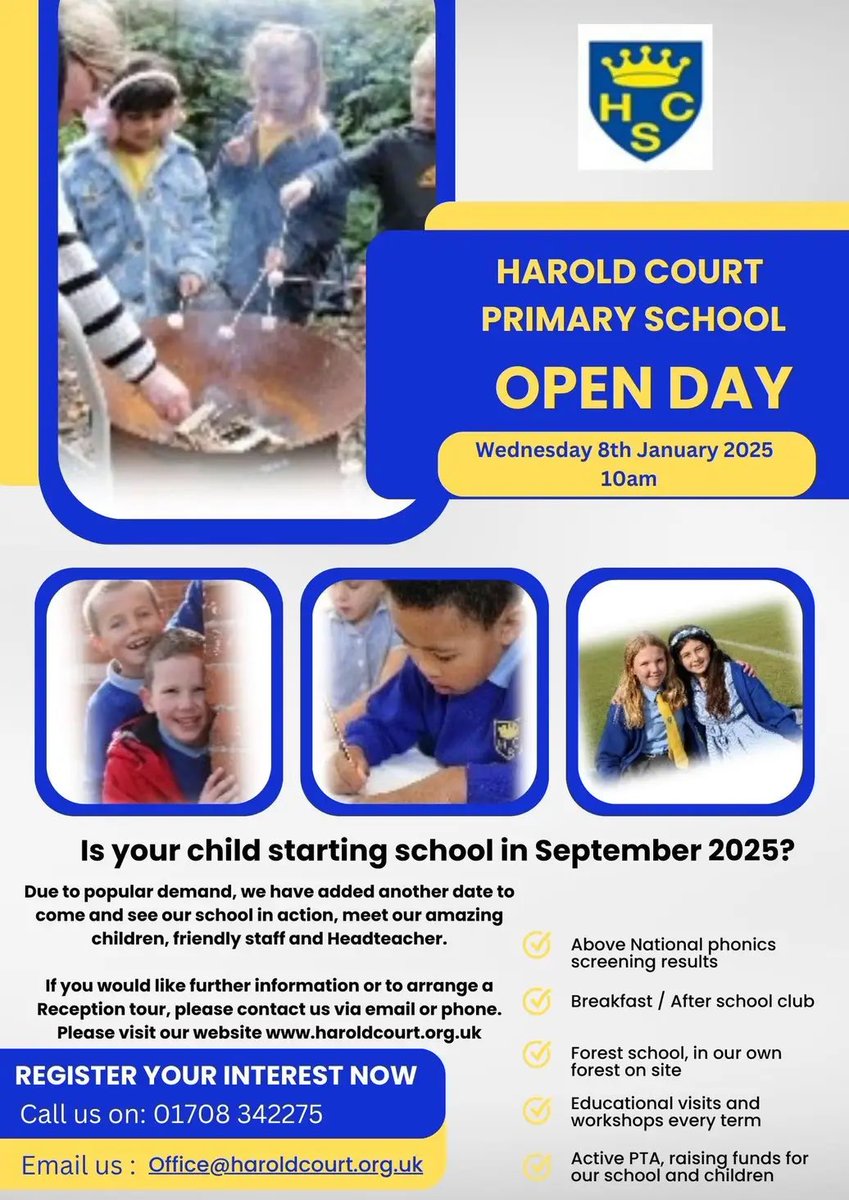 Harold Court Primary tweet media