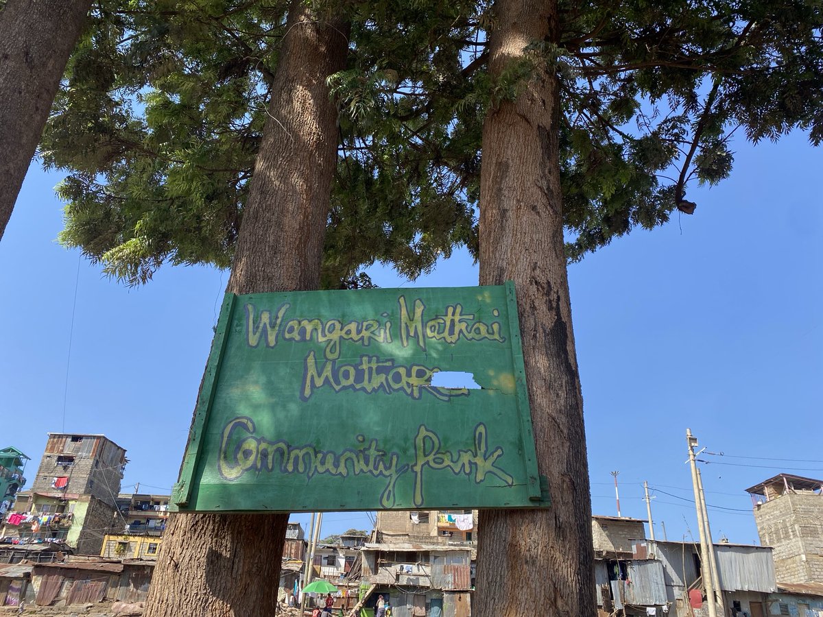 Mathare Social Justice Centre (MSJC) tweet media