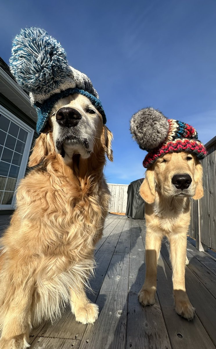 lynn2wine's tweet photo. It’s chilly out 🥶❄️😁 https://t.co/PLdwPop9E8
