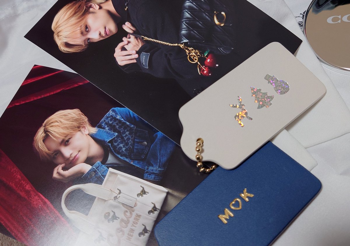 去年は12月に入ってもまだポストカード貰えたみたい！ 去年の私より。