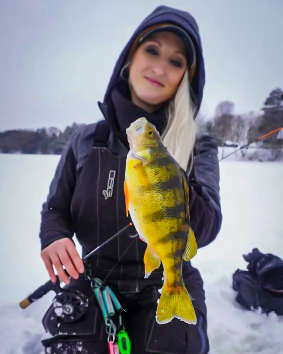 When you stumble upon a big perch lake 🙌