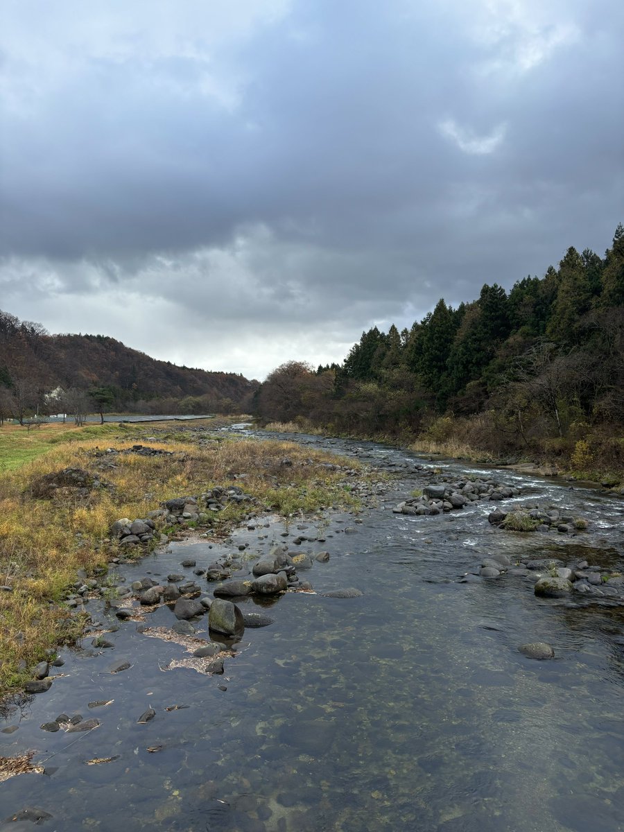 Robert Moise tweet media