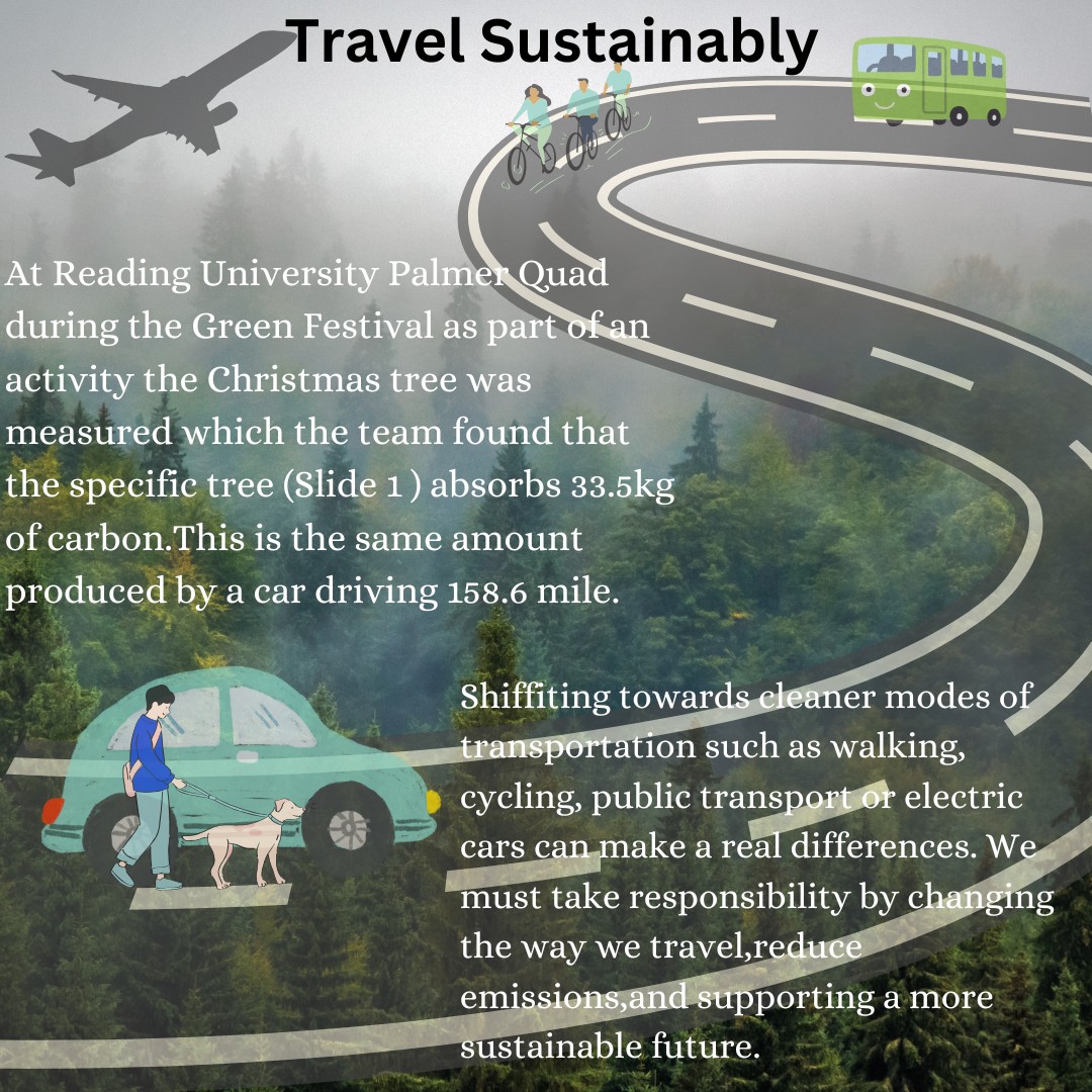 Christmas tree in Palmer Quad University of Reading. Think twice before traveling. Travel Sustainably!
 #SustainableTravel #TravelMindfully #ChristmasTree #UniversityOfReading