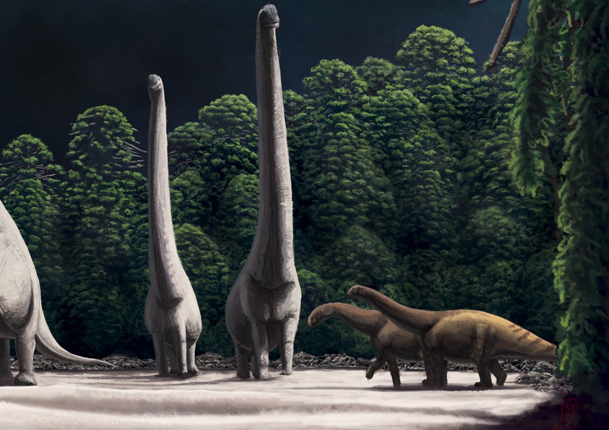 Leotrex444's tweet photo. Please support this!
This has been one of the works that has taken me the most effort, it seems that everything was in vain since it did not achieve its objective, but at least its one of the best pieces I have. Here you can see an advanced sketch.#paleoart #dinosaurs #cretaceous https://t.co/G57lbvqgI4