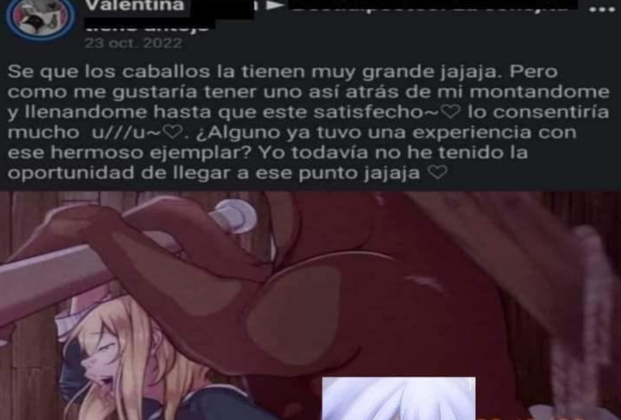 Otakus del Día a Día tweet media