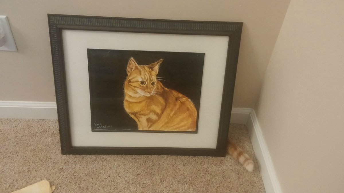 There is no cat in this image tweet media