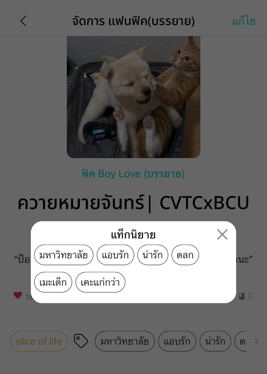 ˗ ༘ * ꒰ 🍎applepie🥧 ꒱ ⋆·˚ tweet media