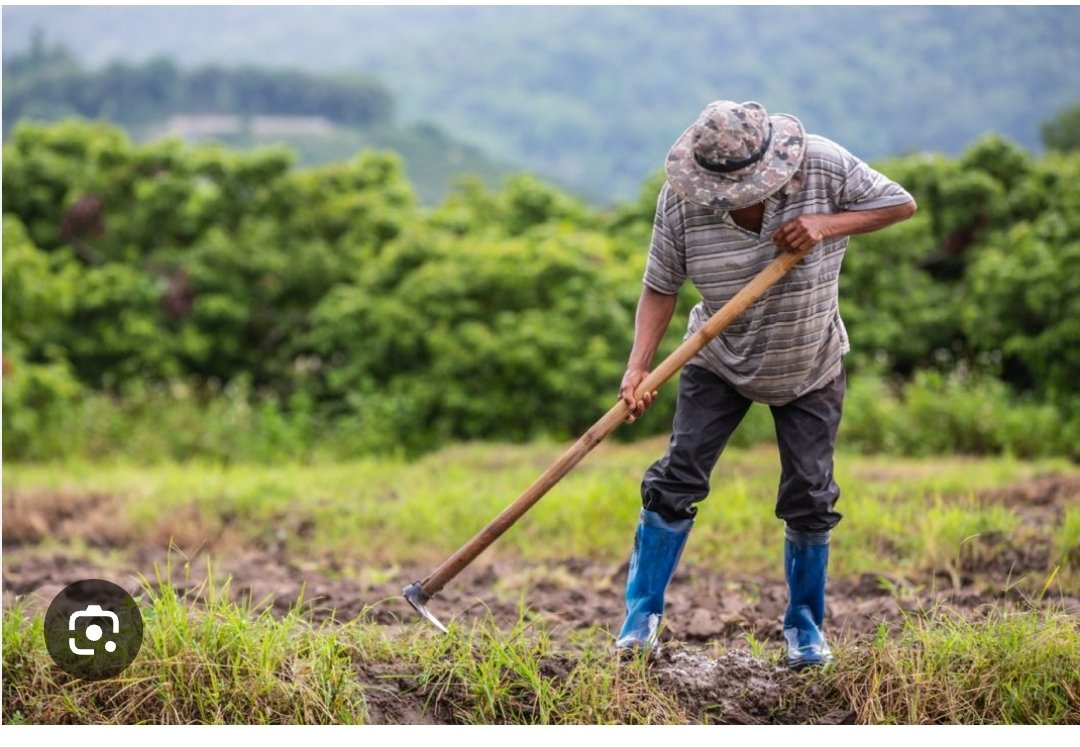 Sabeu q mentre els pagesos de  Catalunya han d'omplir centenars de tràmits burocràtics i estan sotmesos a moltes restriccions, el nou acord de Mercosur permetrà q s'importin fruites i verdures plenes de pesticides i no passaran cap control ?
Cuidem la nostra pagesia i la nostra