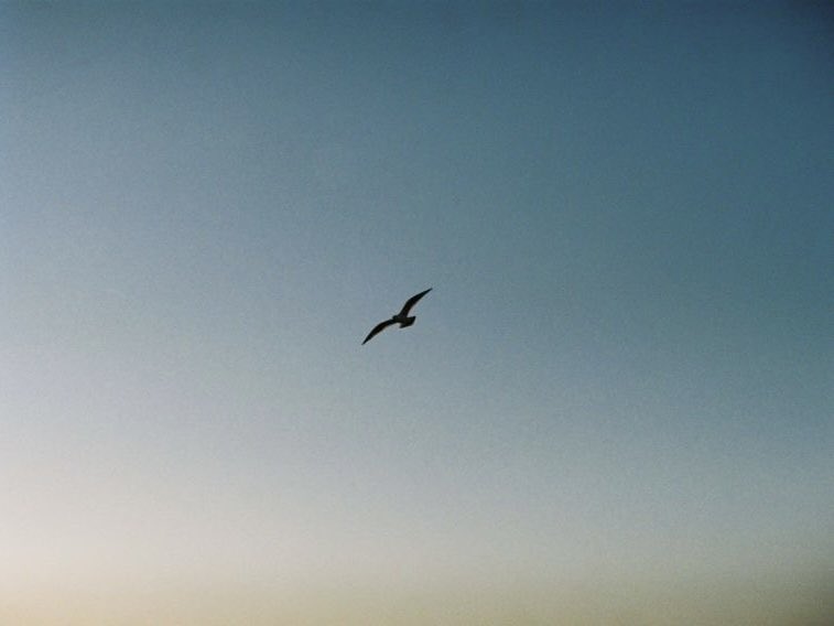Nihthu's tweet photo. Saturday, November 30, 2024
A beautiful morning at the beach near Yanchang Seafood Market, Dalian, China.
.
#nikonem #nikonem35mm #yesstar200 #filmphotography #135mm #china #dalian #analogphotography #sunrise #beach https://t.co/qQa2ERSdUY