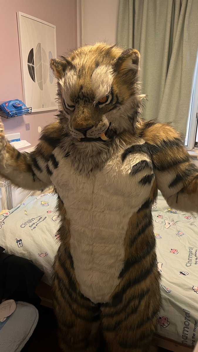 Neo_Orson's tweet photo. #FursuitFriday come and pet me! https://t.co/z5vQwwvg87