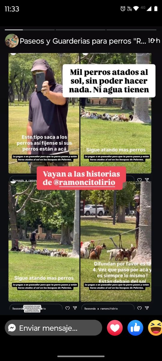 Maria Amalia Nuñez (@amybac1) on Twitter photo 