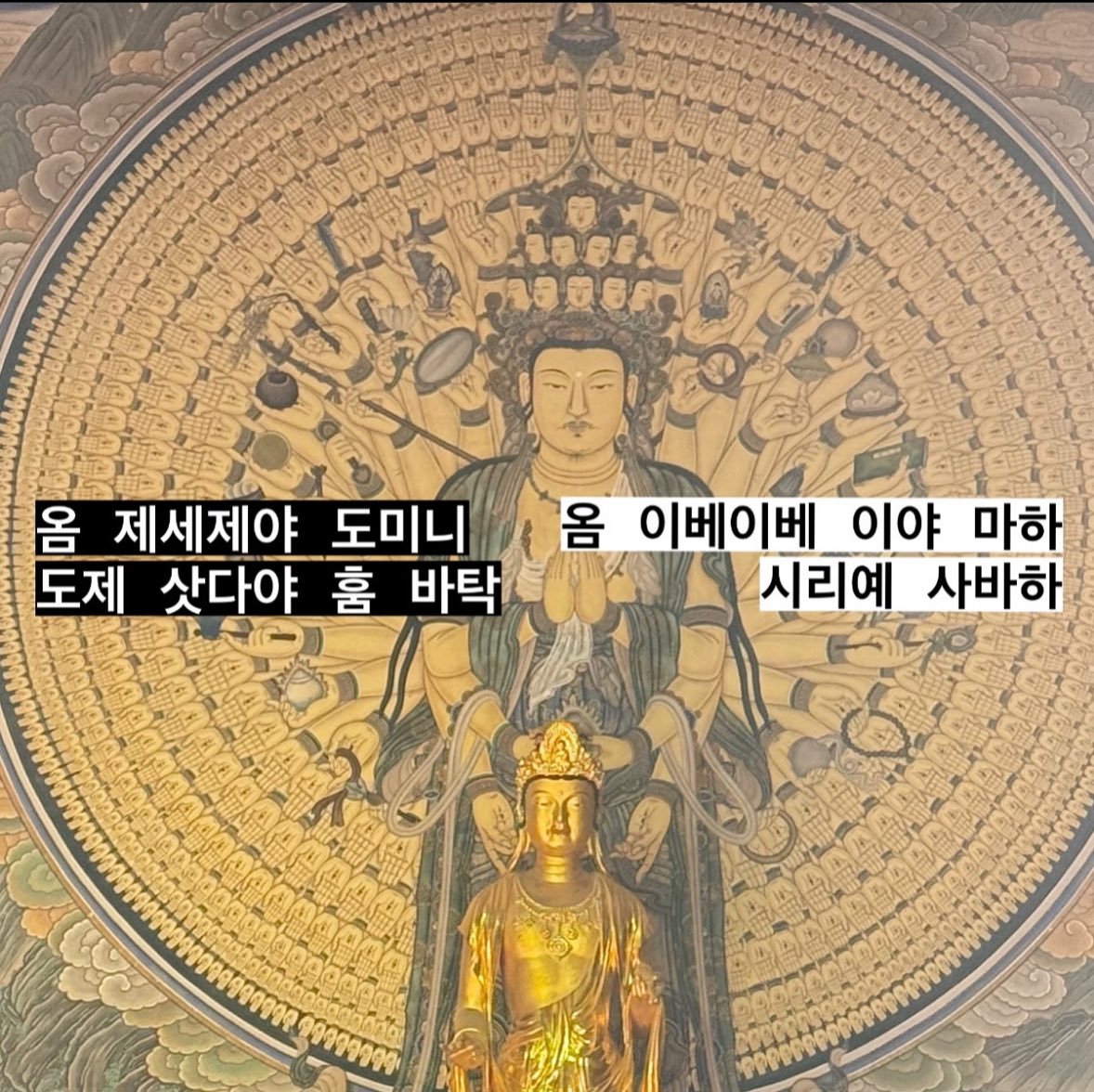 herdaebak_'s tweet photo. 하……..
이 시각 불교계 출판사 불광미디어
꽤 쓸만한 진언을 내주었습니다
오늘부터 하루에 3번씩 외겠습니다. https://t.co/vr8DGD6BfO