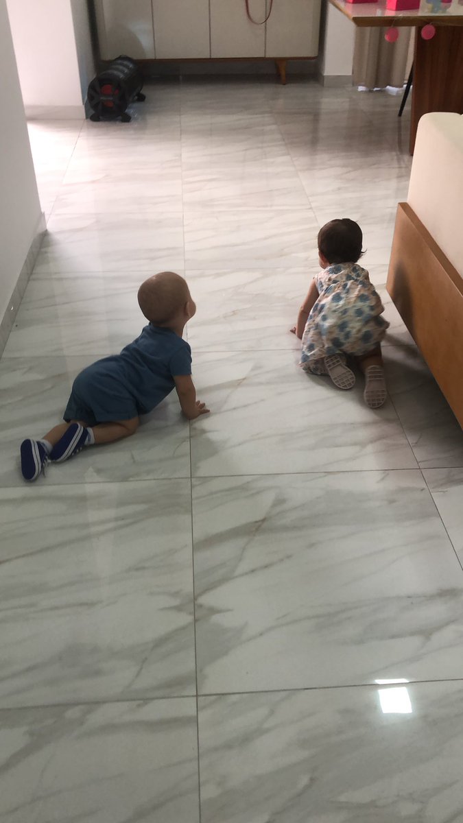 proveando's tweet photo. Eu nunca pensei que esses bebês iriam trazer tanta felicidade para essa família 🩵💖 https://t.co/D0NbXq7lR1