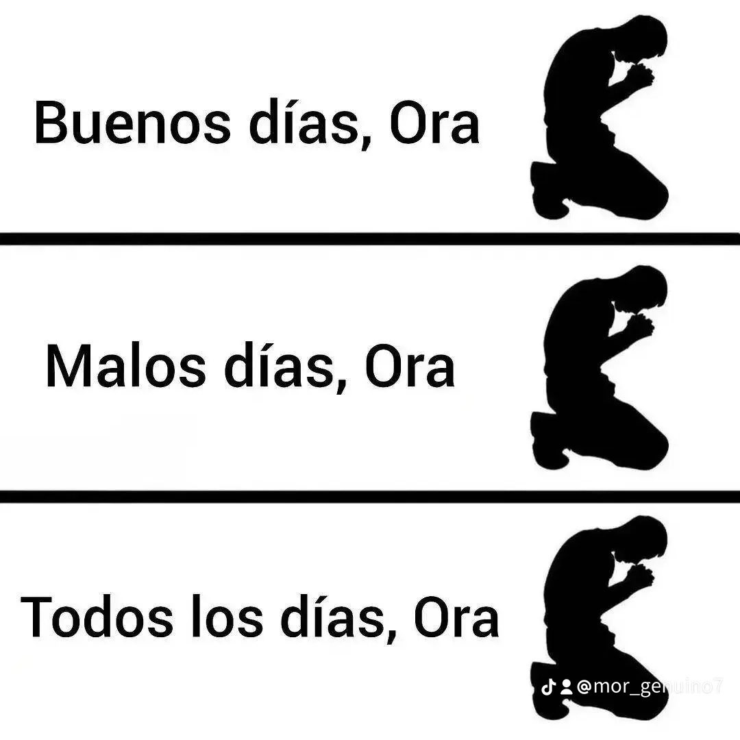 CarlosVictorM's tweet photo. Feliz sábado 🙏😊!! https://t.co/UJj47r2vrj
