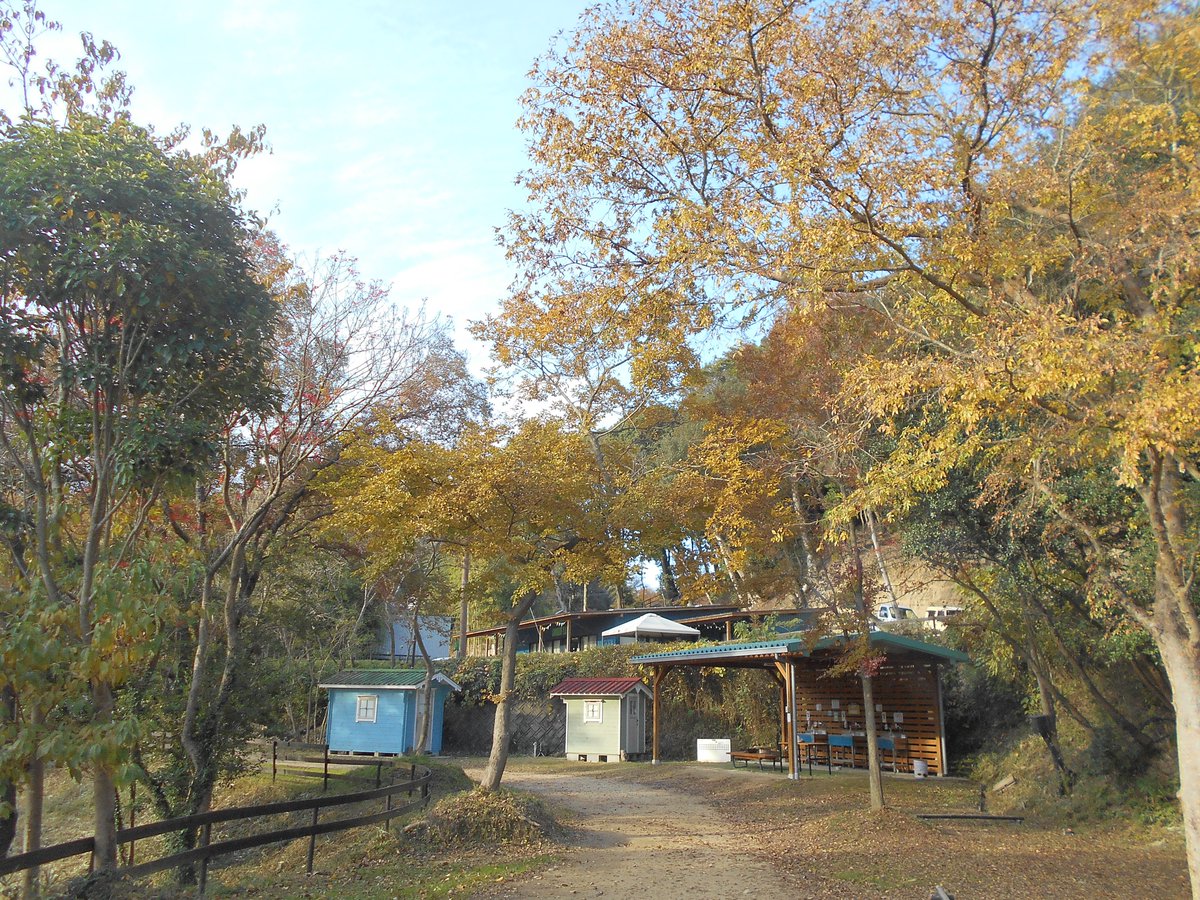 __33Oxx__'s tweet photo. 初のキャンプは極寒すぎたけど、
めちゃんこ楽しかった〜🏕️🍁🧡⭐️

📷´- 🔖𓂃𓈒𓏸︎︎︎︎ https://t.co/xZlzkgO9sv