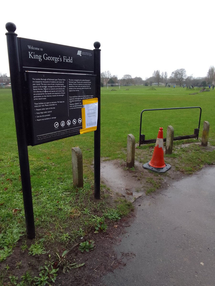 Surrey Steve tweet media