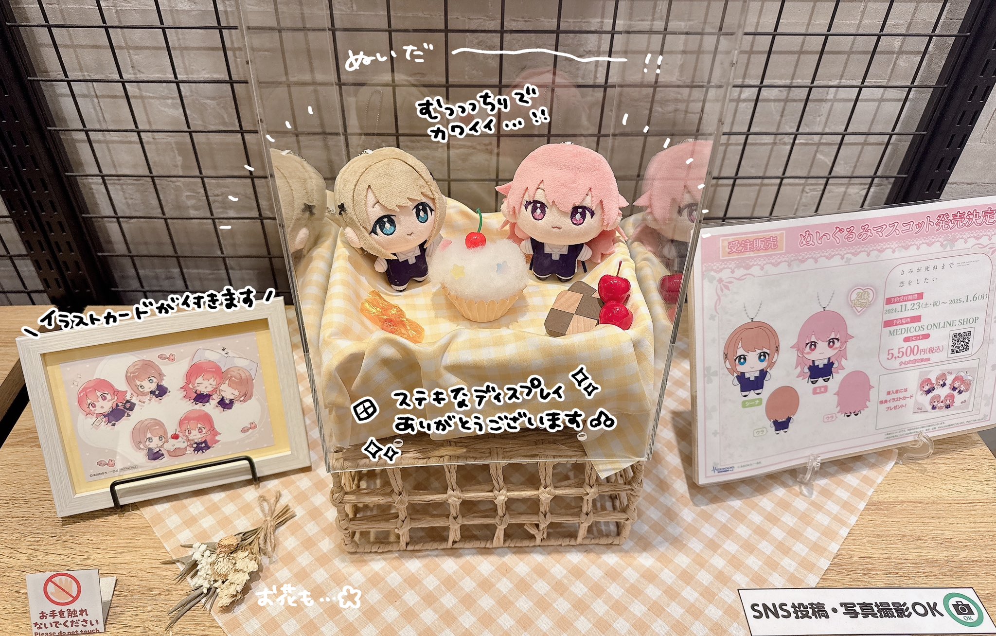 きみが死ぬまで恋をしたい　ぬいぐるみ きみが死ぬまで恋をしたい公式 on X: 