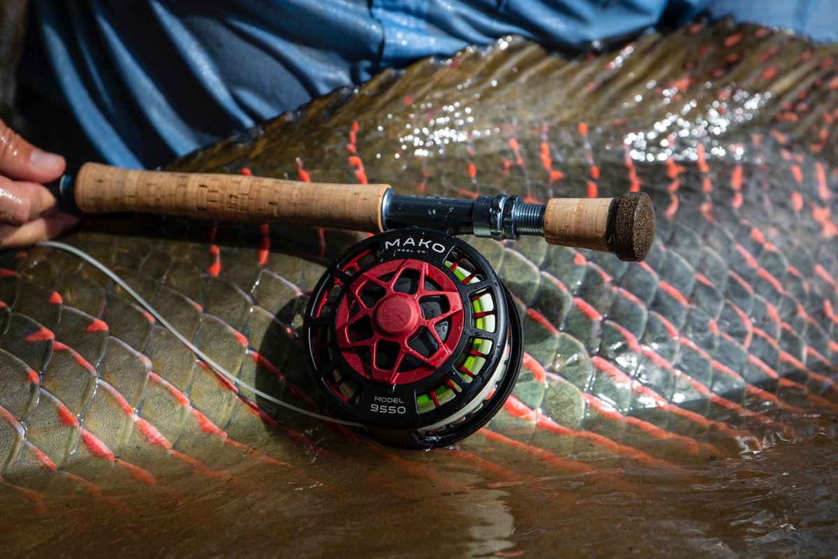 Indifly_'s tweet photo. Red accents.
Arapaima show their beauty in the most subtle ways.

Ph: Will Graham 
#flyfishing #indifly #guyana #rewa #ecotourism #indiflycorps #DiscoverGuyana #visitguyana https://t.co/SmsSd7qx9F