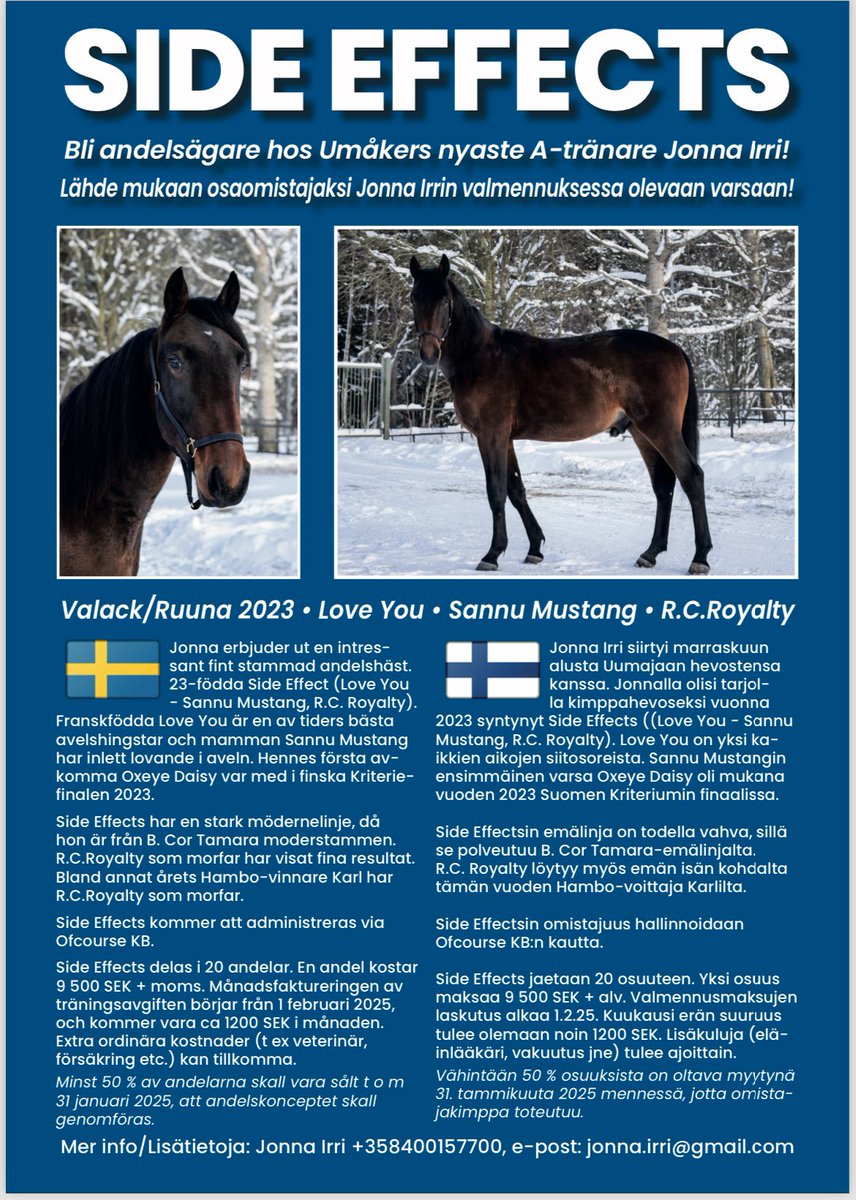 Bli hästägare hos oss! ⭐️

#travsport #ravit