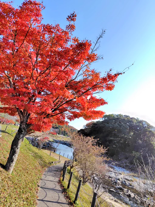ダムとか河に行ってた楽しかったな 