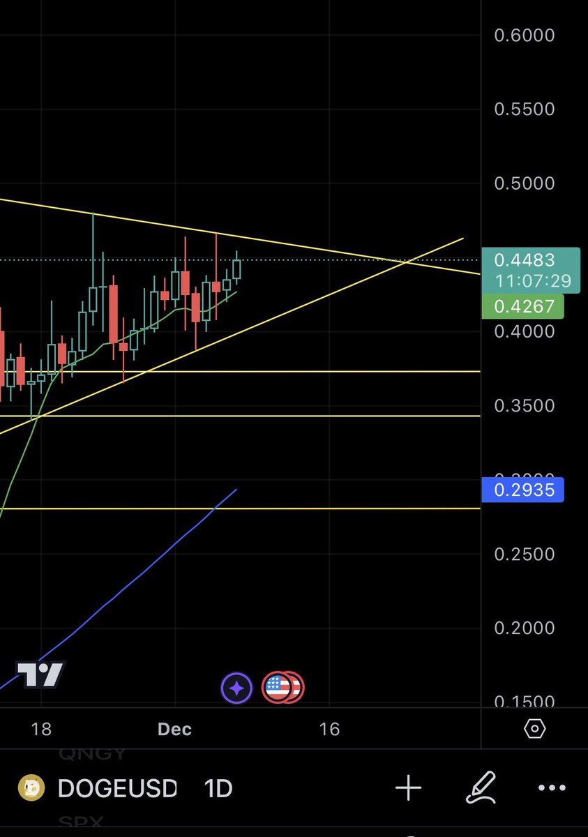 RickyStockBobby's tweet photo. $doge is ready for the moon. Any day now. https://t.co/mr71mrdWt1