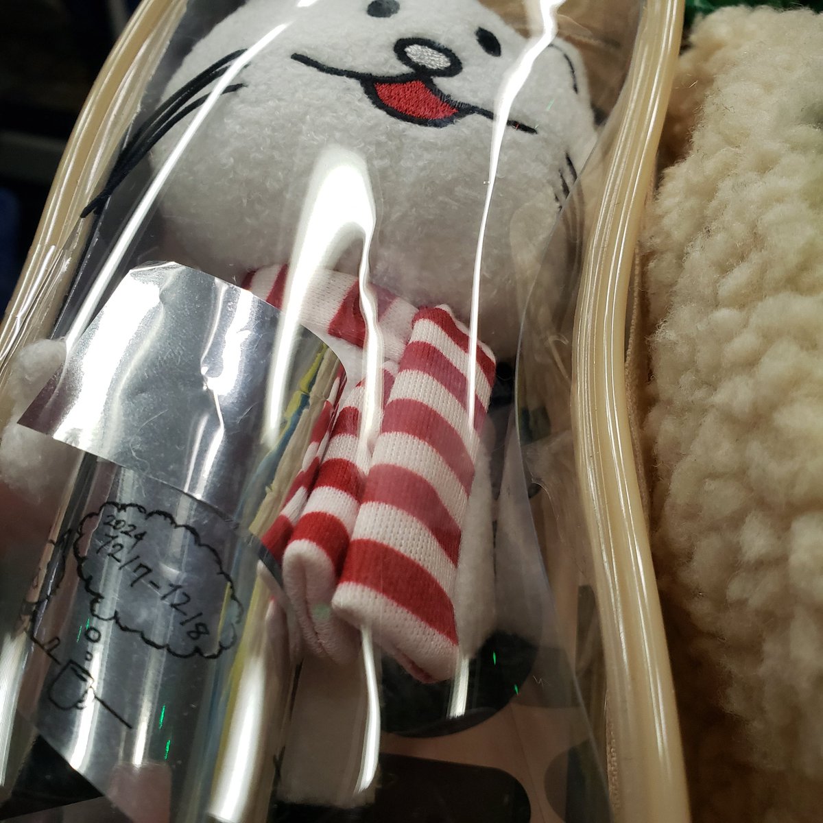 コスモス tweet media