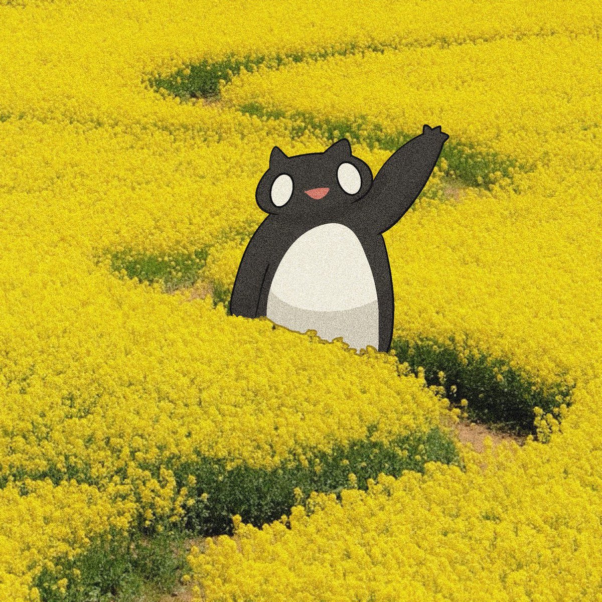 $HAKU is on $SOL

Ape in before we fly!

TG: t.me/hakuspirit
Dex: dexscreener.com/solana/3p1EbQh…
CA:
HaoHBFBjc5UgcFvWDHsGb3n6qtyJkvP27yd4cei5pump

Join us now! 🫡