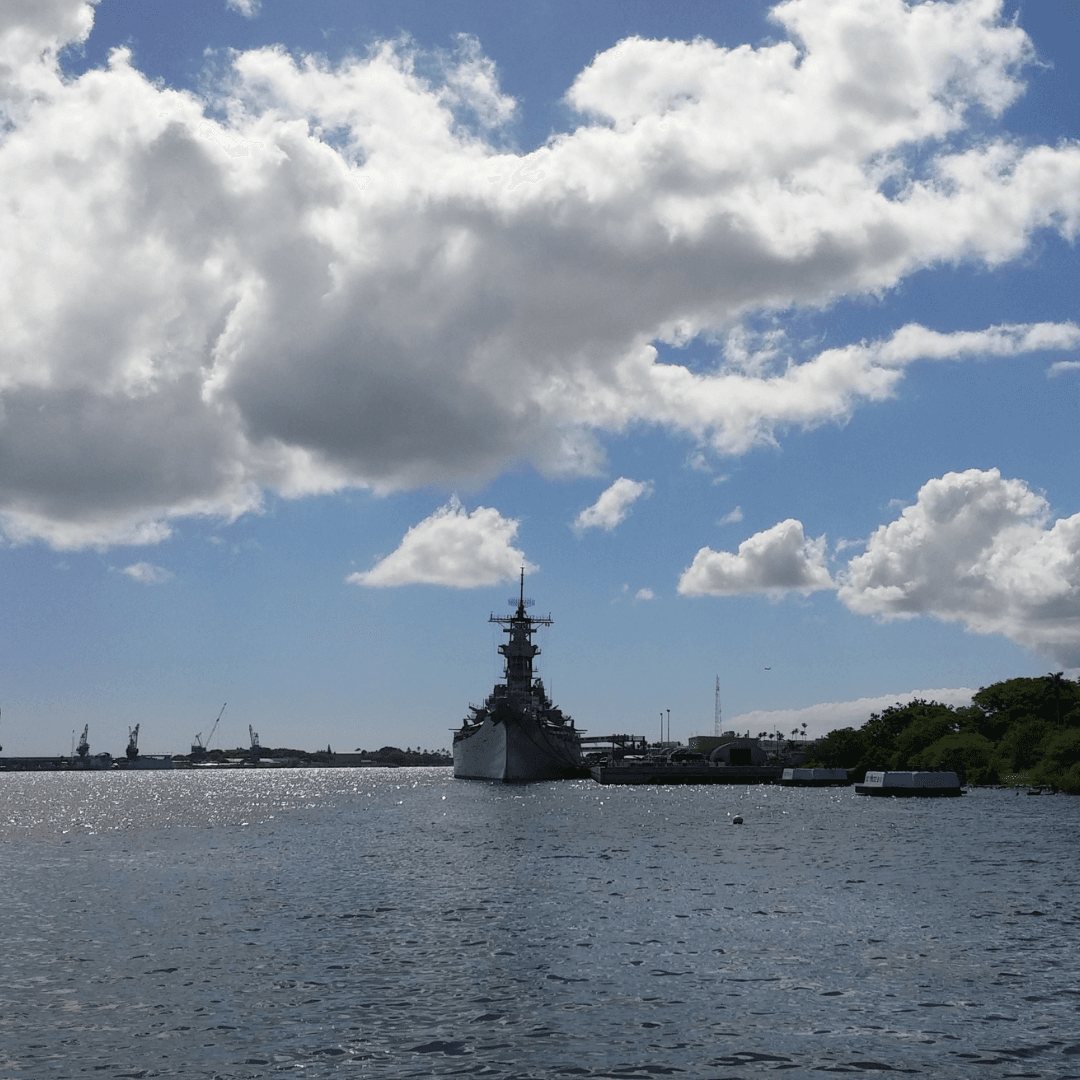 Shipthrifty.com tweet media