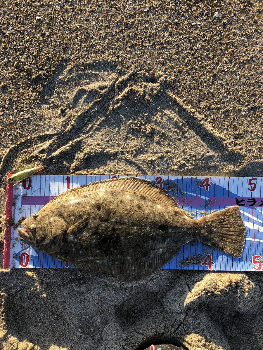 今日は午前中母親の用事を済ませて午後からサーフへ
ちょうど上がってきた人に状況を聞くと、青物祭りだったとの事……ヒラメにシーバスも…
でも祭りの後にはヒラメちゃんは残っていてくれました！
嬉しい〜けど、青物も釣りたかったなぁ〜