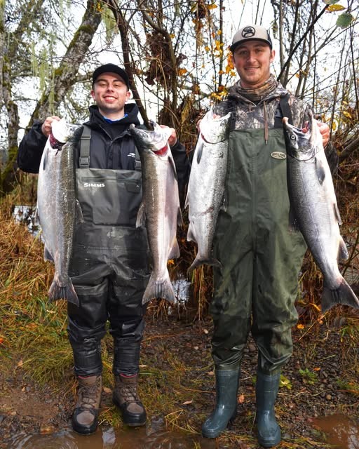 OregonFishingUS's tweet photo. It's the weekend! It's time to think about
#OregonFishing. Have a great one.  https://t.co/68e1RyOjf0

Photo: Chrome City Guide Services clients with their limit of Coho November 25 https://t.co/HV9UjquvWc
