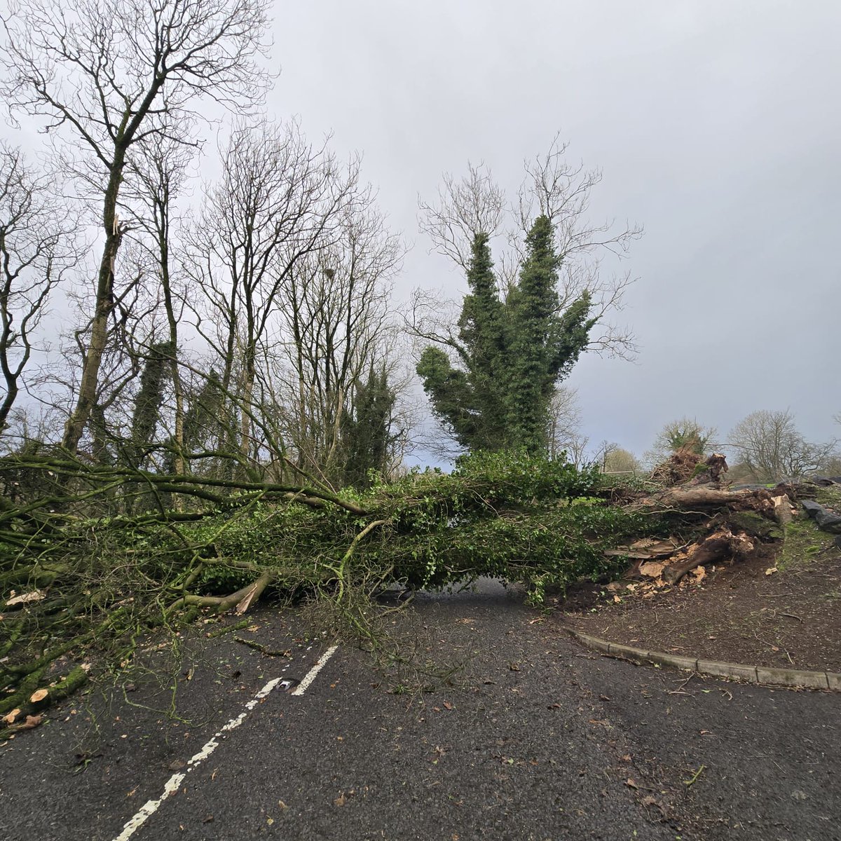 DeeoreRT's tweet photo. Seven mile straight blocked just before Carn road.

@TrafficwatchNI @bbcweather @barrabest @BBCNITravel https://t.co/Prpj5JrRUW
