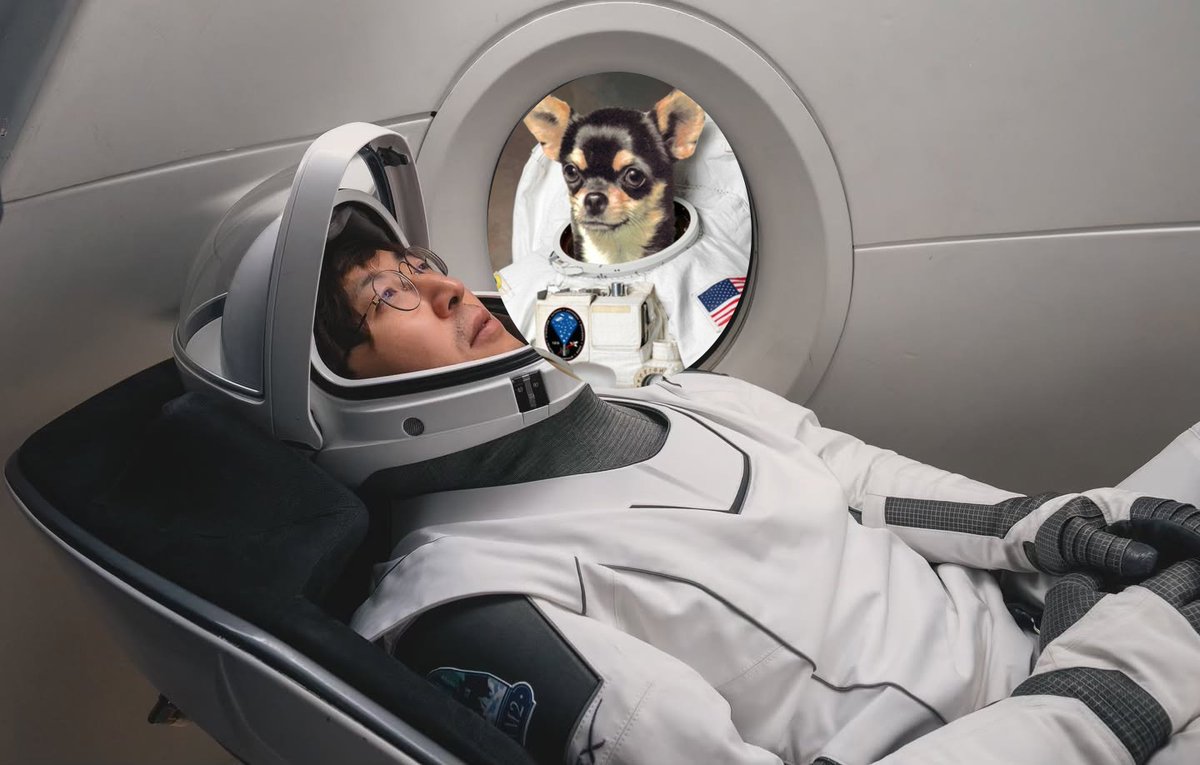 SpaceX Dog tweet media