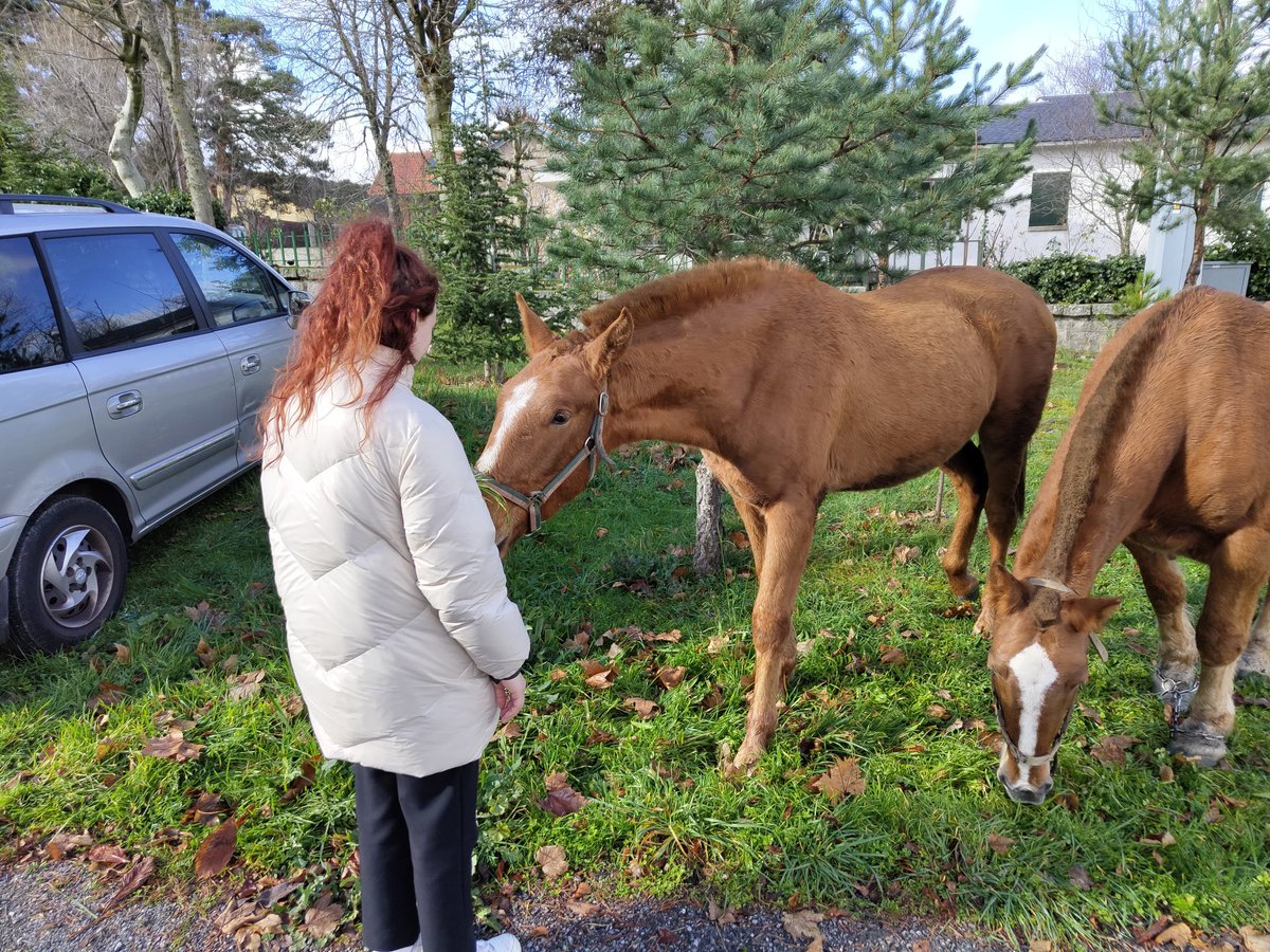 Elesky 🦋 エレスキー tweet media