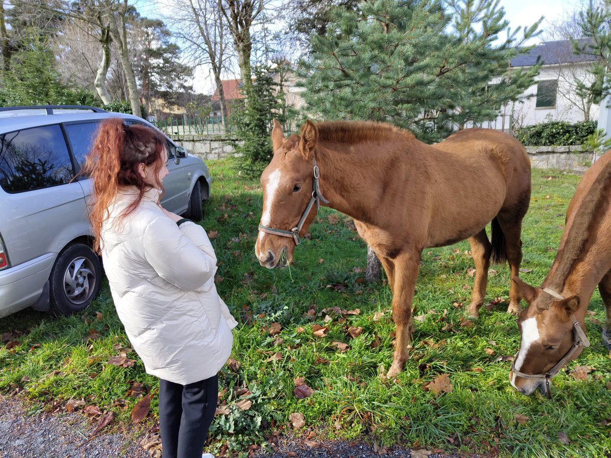 Elesky 🦋 エレスキー tweet media